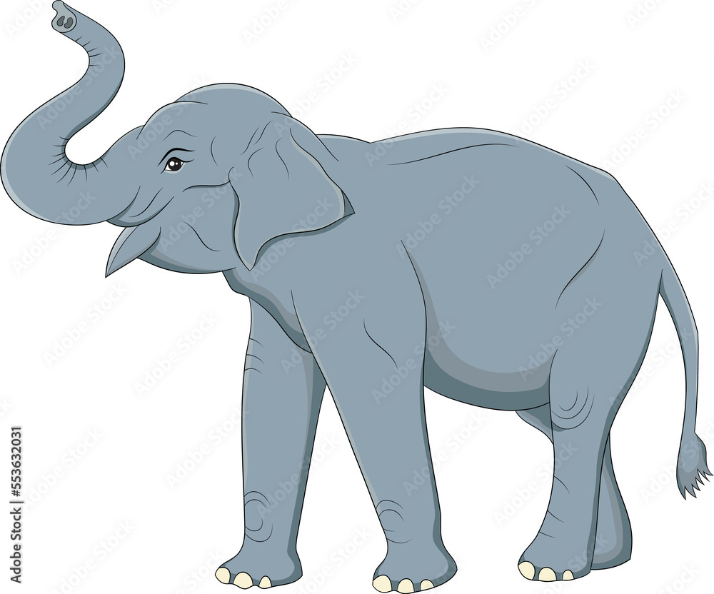 Fototapeta premium Cute Asian Elephant png image