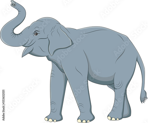 Cute Asian Elephant png image