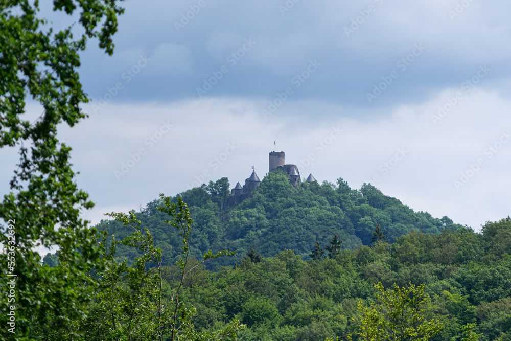 a castle on a hill surrounded by a green forest.