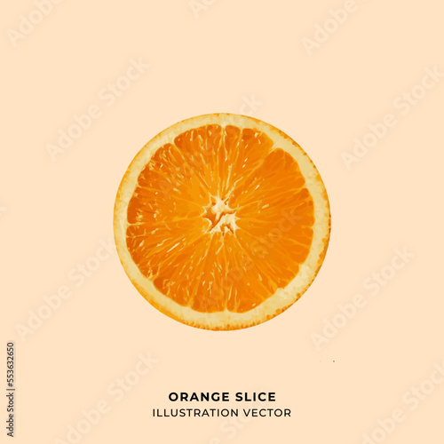 slice of orange vector illustration