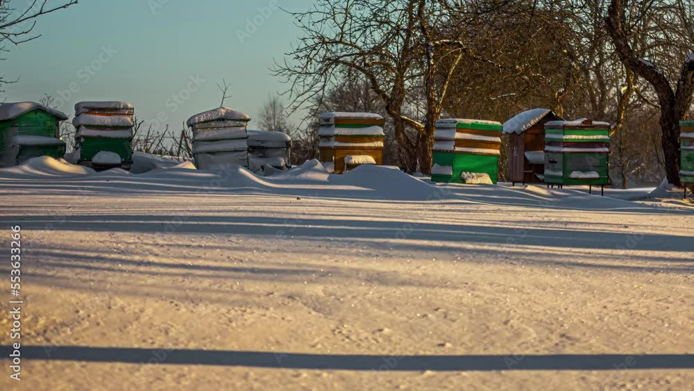 Man-made Beehive covered in thick snow in a cold winter, hibernating bee colony Man-made Beehive covered in thick snow in a cold winter, hibernating bee colony