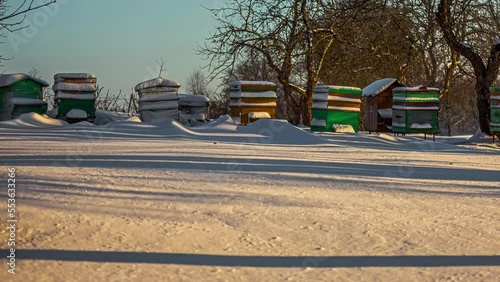 Man-made Beehive covered in thick snow in a cold winter, hibernating bee colony photo