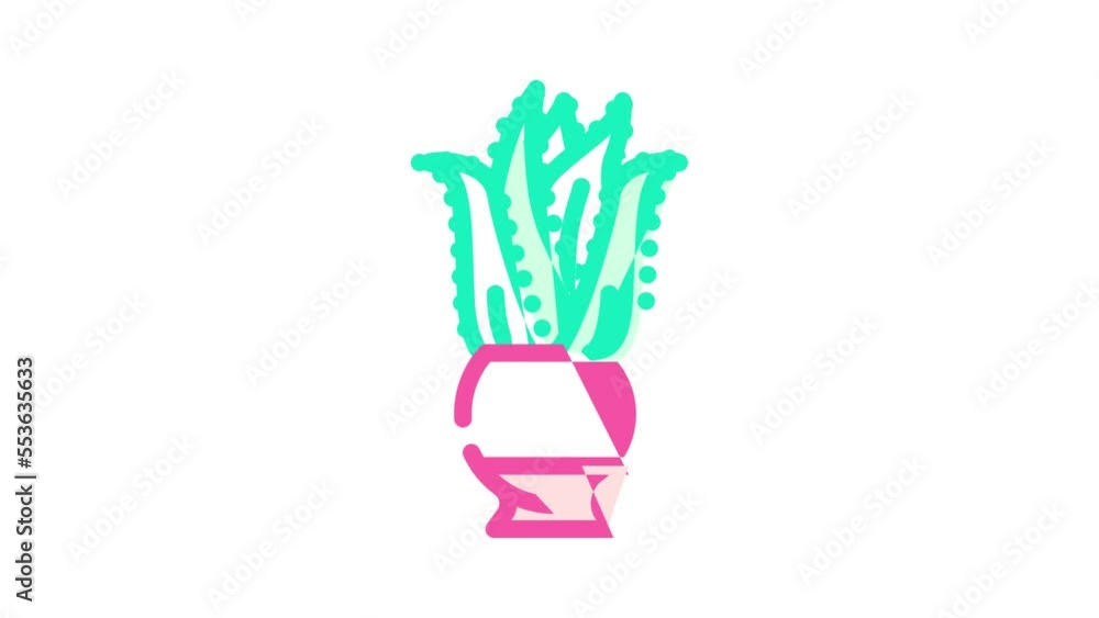 aloe domestic plant color icon animation aloe domestic plant color icon animation
