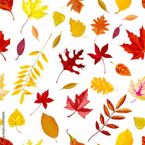 Autumn foliage, falling leaves of fall season vector