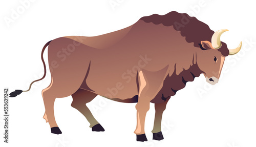 Bull with long horns, ox or buffalo vector
