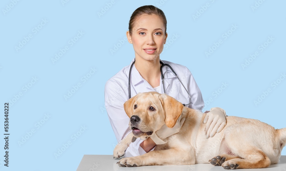 Happy young veterinarian doctor and cute dog