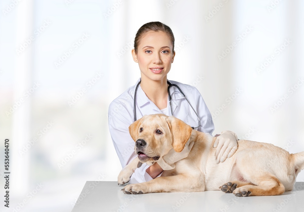 Happy young veterinarian doctor and cute dog