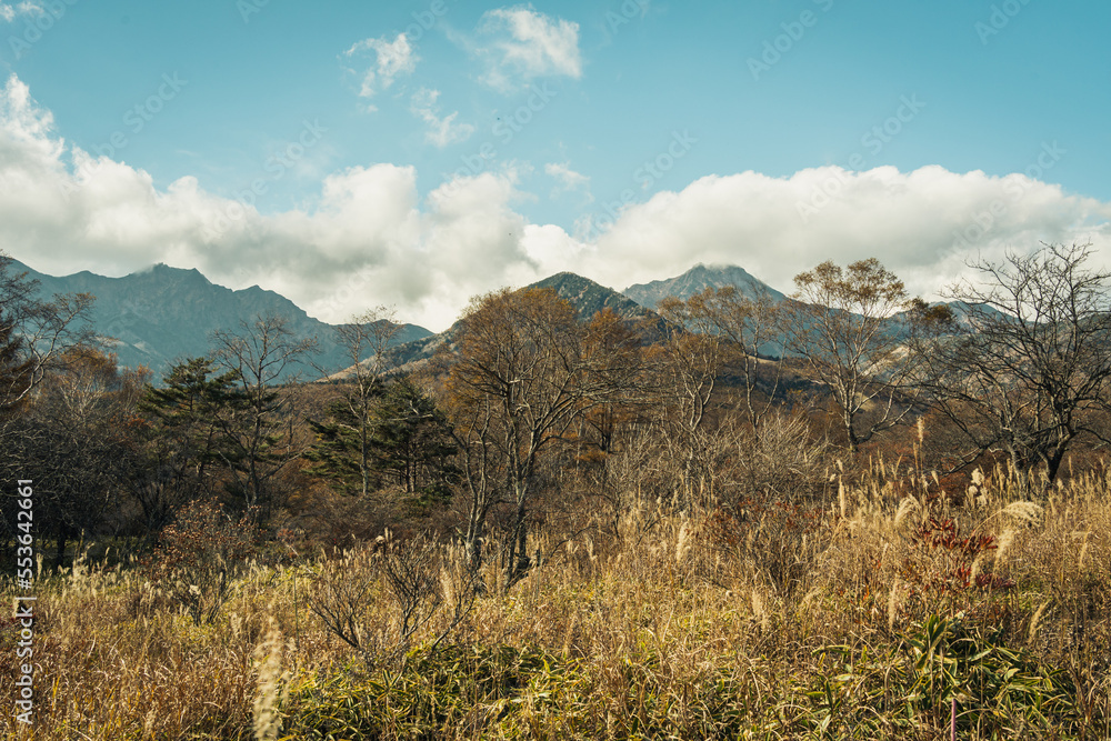 遠くの山々 遠くの山々