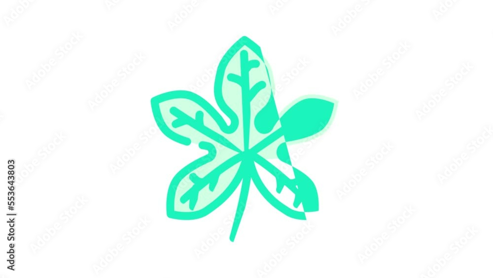 fatsia japonica tropical leaf color icon animation fatsia japonica tropical leaf color icon animation