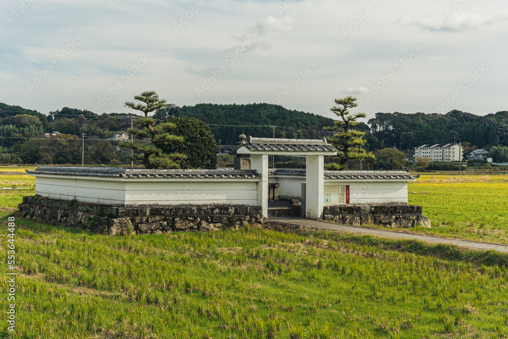 Obraz premium 田んぼの中に