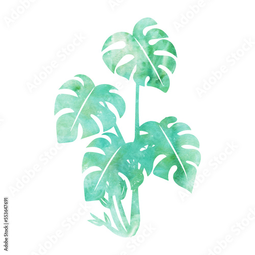 aesthetic illustration of a money plant water color filled mystic plant