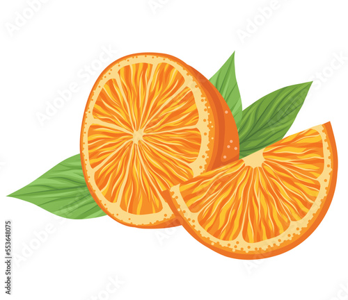 Vector illustration of cut orange with slice and foliage composition. Image with citrus. Clip art with summer juicy fruit