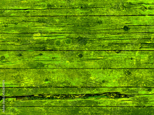 Wallpaper Mural 古びた木目　板　背景　テクスチャ Torontodigital.ca