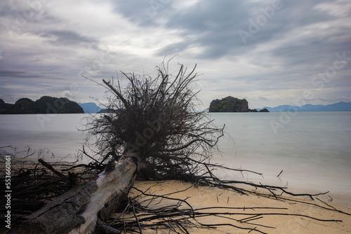 Fallen tree on the beach of Pantai Tanjung Rhu on the malaysia island Langkawi. Clouds over the bay. Silky water. Silk effect in the water of a beach. In the background the rocks of Pulau Kelam baya photo