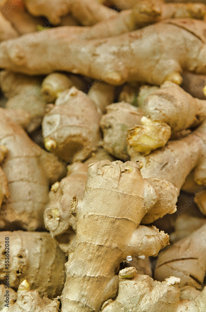Bulbs of ginger, close-up detail Bulbs of ginger, close-up detail