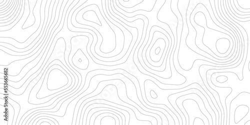 Abstract background vector and topographic pattern line map background. wavy papercut abstract background, wavy line background, geographic grid