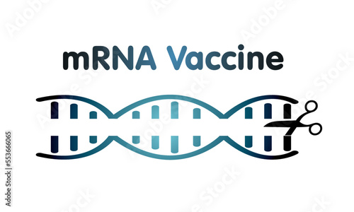 mRNA vaccine