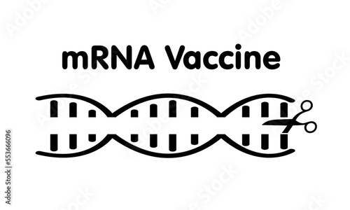 mRNA vaccine