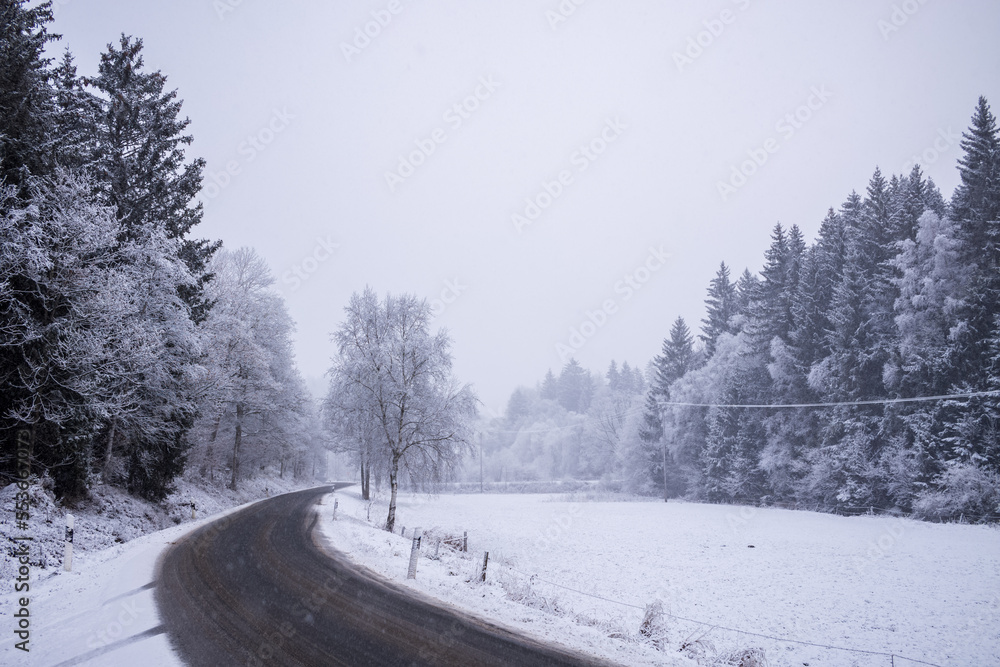 straße im winter mit bäumen und schnee 