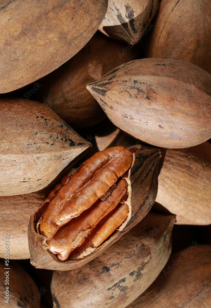 close up of pecan nuts in shell, one nut cracked, background 