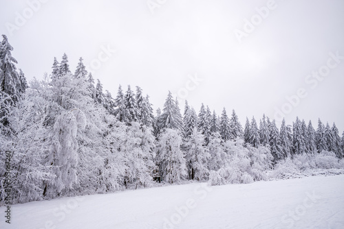 winterwald © Dirk