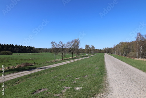 Blick auf die Heidefläche westlich der Thülsfelder Talsperre im Oldenburger Münsterland	 photo