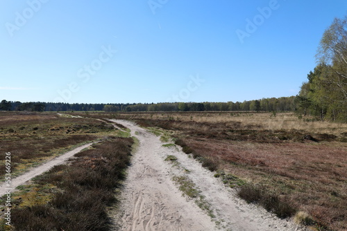 Blick auf die Heidefläche westlich der Thülsfelder Talsperre im Oldenburger Münsterland	 photo