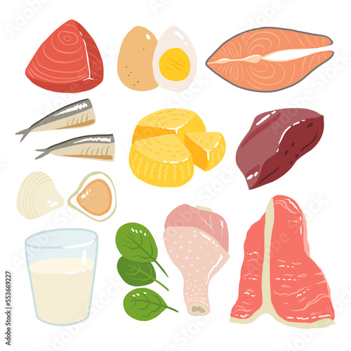 Collection of vitamin B12 food. cheese, eggs, clams, beef, turkey, milk, liver, spinach, sardines, tuna, salmon. Dietetic products, organic natural nutrition. Flat vector cartoon illustration