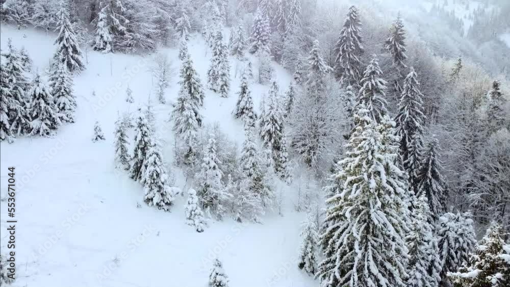 Snowy mountain slope with trees. View from a drone on beautiful winter mountains Snowy mountain slope with trees. View from a drone on beautiful winter mountains