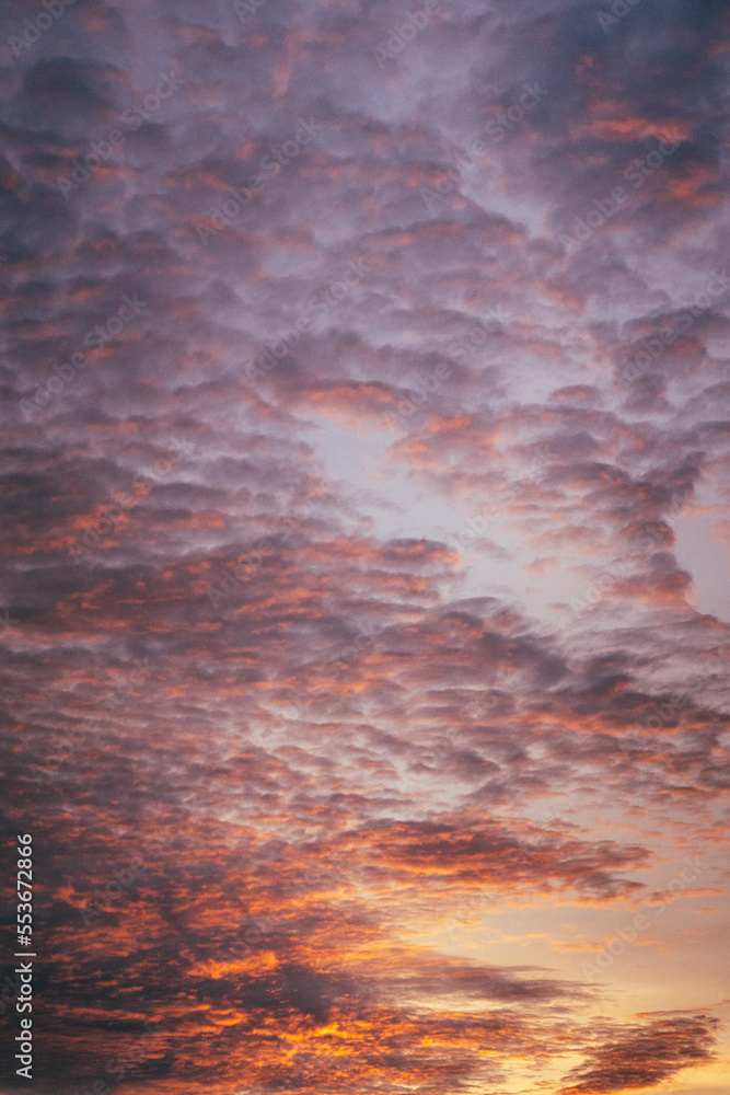 Fototapeta premium sunset in the sky