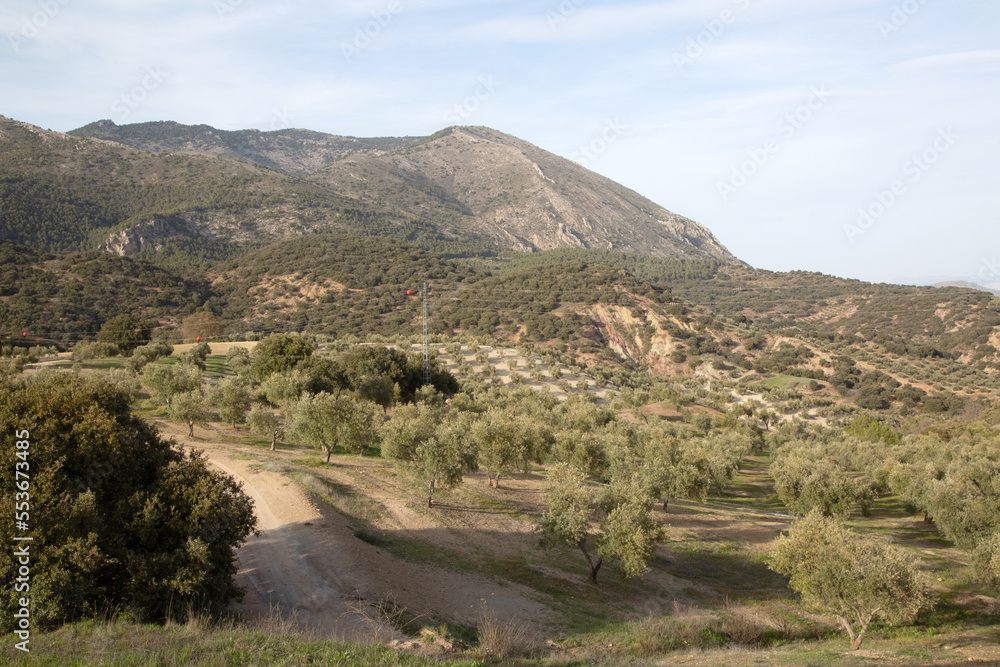 Path in Sierra Magina National Park, Jaen, Spain Path in Sierra Magina National Park, Jaen, Spain