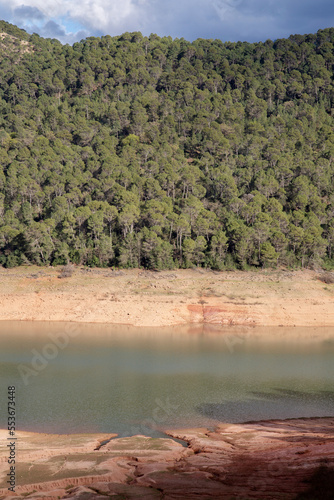 Pine Trees, Tranco de Beas Reservoir, Cazola, Segura and Las Villas National Park, Jaen, Spain
