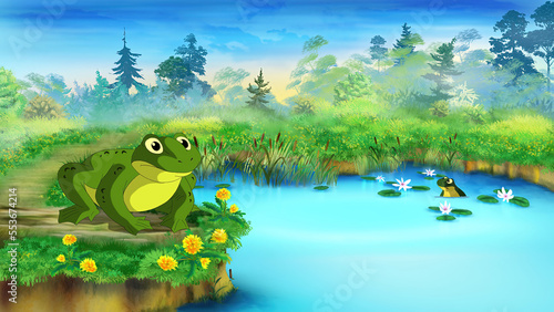 Green Frog near a Pond illustration