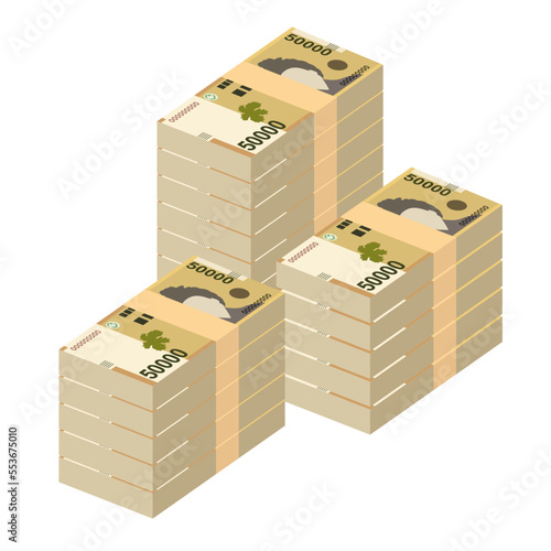 South Korean Won Vector Illustration. South Korea money set bundle banknotes. Paper money 50000 KRW. Flat style. Isolated on white background. Simple minimal design.
