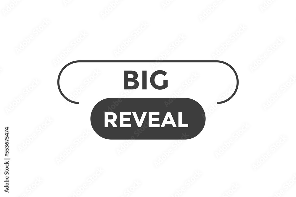 Big reveal button web banner template Vector Illustration
