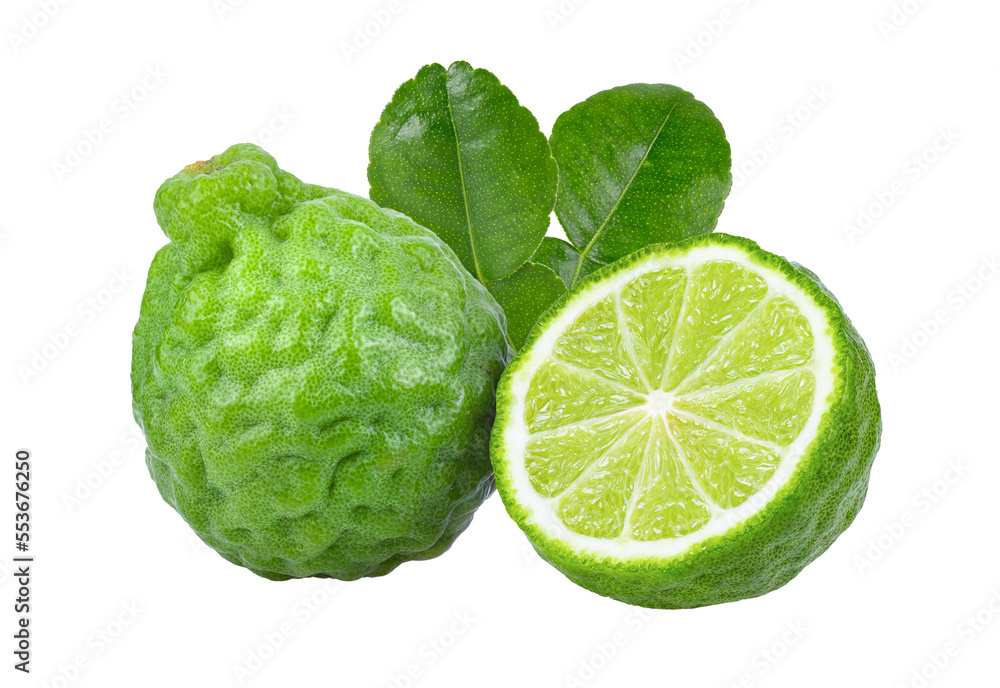 bergamot or kaffir fruit with leaf isolated on transparent png bergamot or kaffir fruit with leaf isolated on transparent png