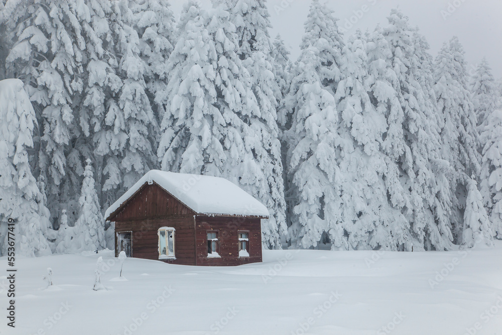 Golcuk National Park in the Winter Season Photo, Golcuk Bolu, Turkey Golcuk National Park in the Winter Season Photo, Golcuk Bolu, Turkey