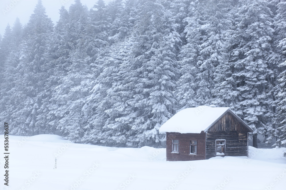 Golcuk National Park in the Winter Season Photo, Golcuk Bolu, Turkey Golcuk National Park in the Winter Season Photo, Golcuk Bolu, Turkey