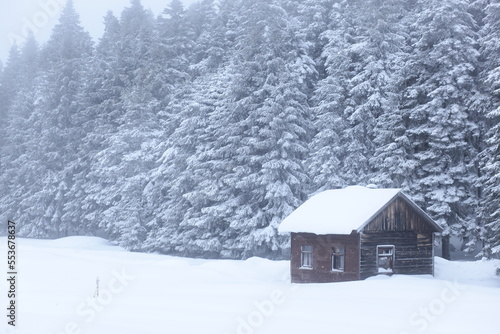 Golcuk National Park in the Winter Season Photo, Golcuk Bolu, Turkey