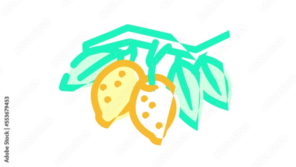 branch lemon plant color icon animation branch lemon plant color icon animation