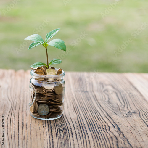 Green plant growing in glass jar with coins