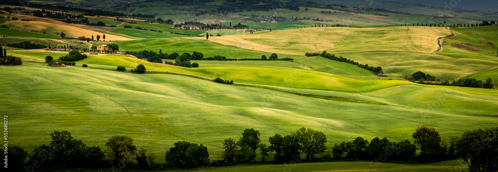 the beautiful and stunning landscape of the Tuscany valleys and hill with its meadows, trees and fields 