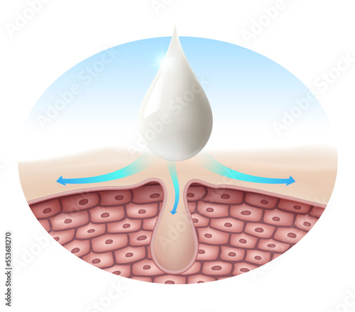 The cream penetrates into the pores layer. close-up step Cosmetic ads, body lotion, serum. Realistic vector file.