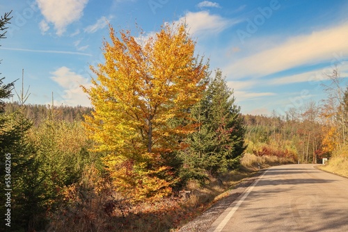 The colorful beauty of autumn