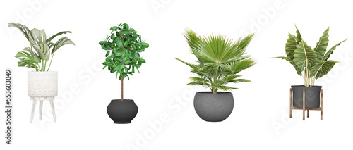 Set of decorative plants for flyer catalogs, triptychs, etc.