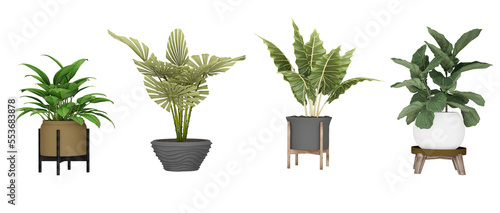 Set of decorative plants for flyer catalogs, triptychs, etc.