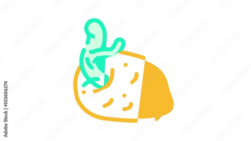 sprouted potatoes color icon animation sprouted potatoes color icon animation