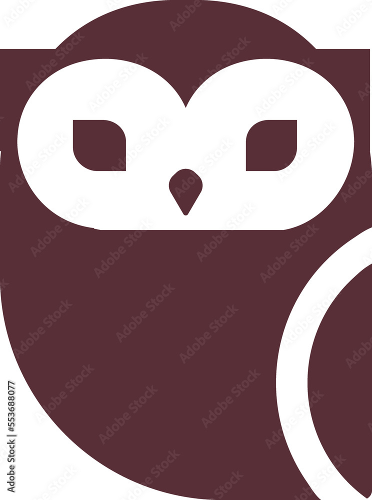 Owl bird Owl bird