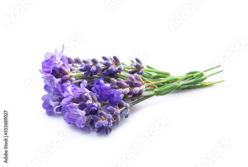 Fototapeta Naklejka Na Ścianę i Meble -  Lavender flower on white backgrounds