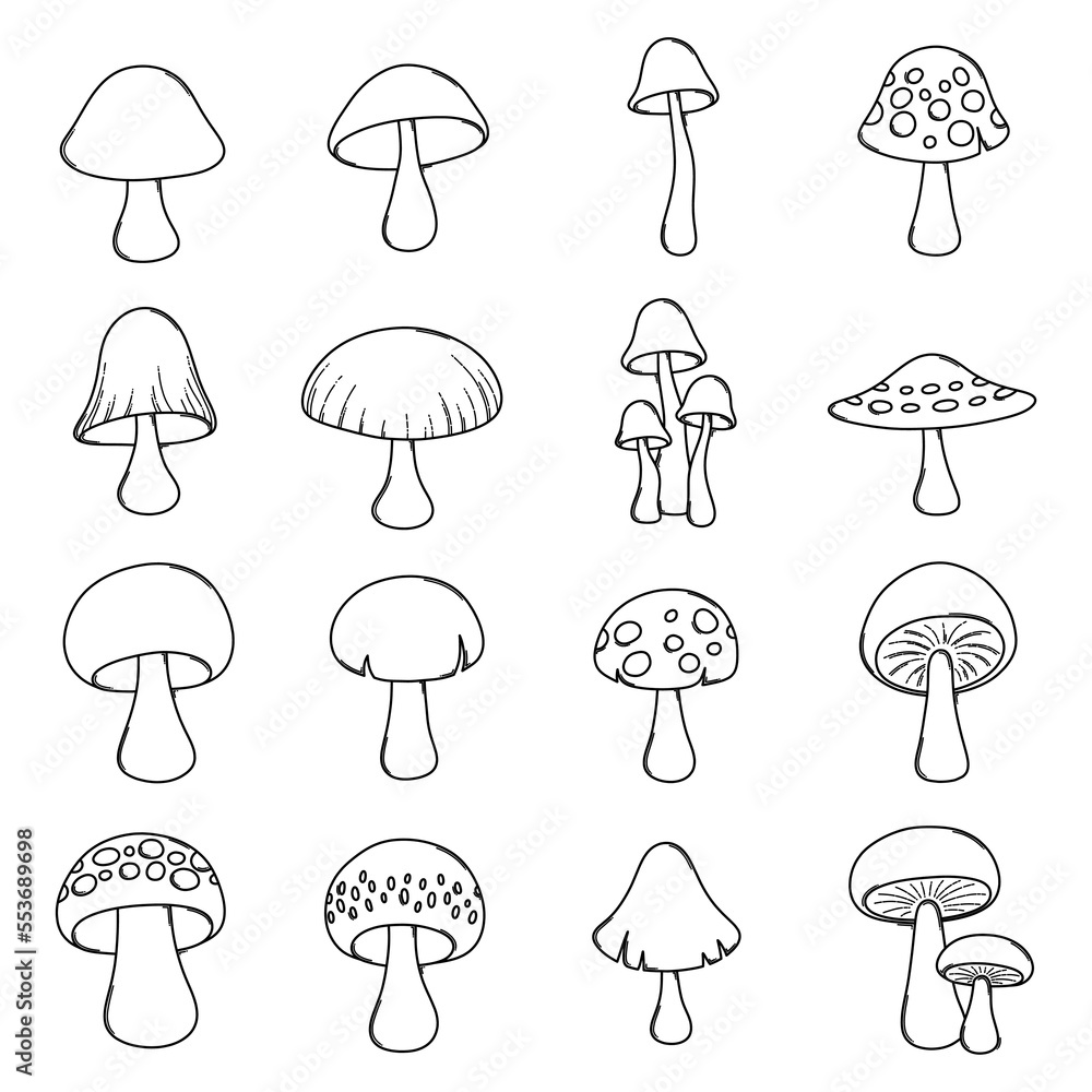 Mushroom Doodle vector icon set. Drawing sketch illustration hand drawn line eps10